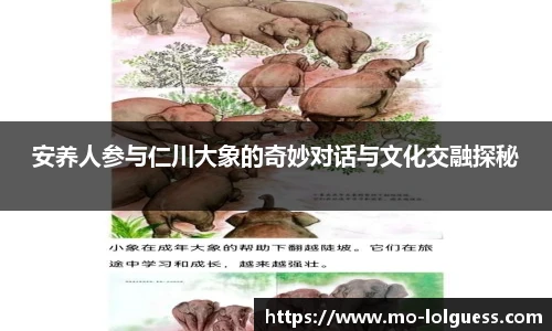安养人参与仁川大象的奇妙对话与文化交融探秘