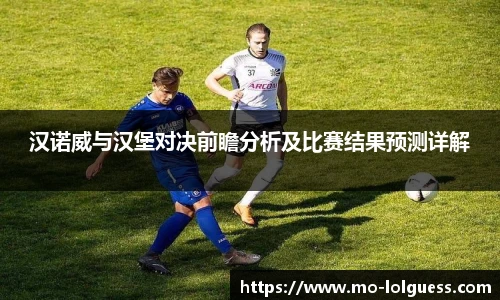 汉诺威与汉堡对决前瞻分析及比赛结果预测详解