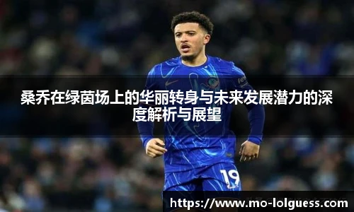 桑乔在绿茵场上的华丽转身与未来发展潜力的深度解析与展望